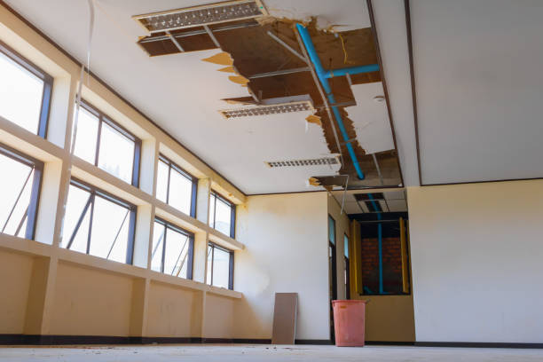 Best Carpet water damage restoration  in Ramtown, NJ