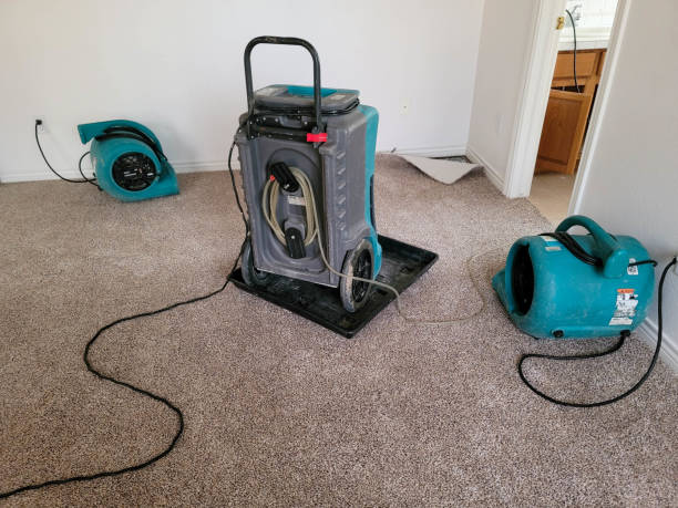 Best Ceiling water damage repair  in Ramtown, NJ