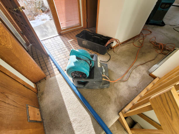 Best Flood damage cleanup  in Ramtown, NJ