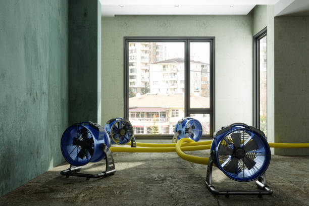 Best Professional water damage repair  in Ramtown, NJ